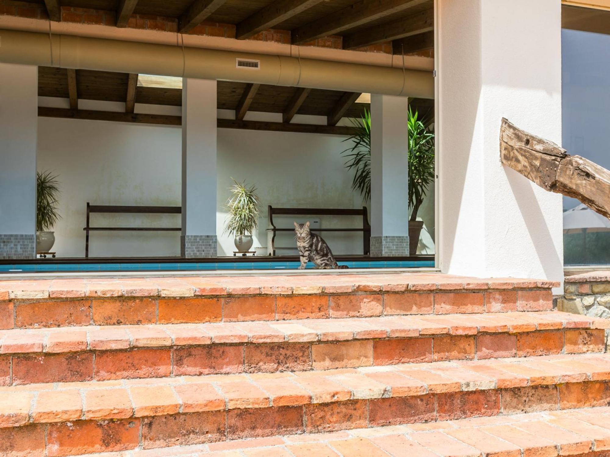 Holiday Home Ciliegiolo By Interhome 신기아노 외부 사진